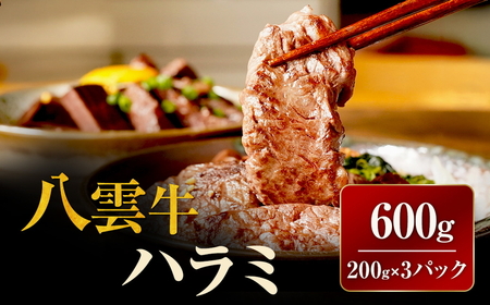 八雲牛 ハラミ 合計600g (200g×3パック) ※沖縄・離島への配送不可