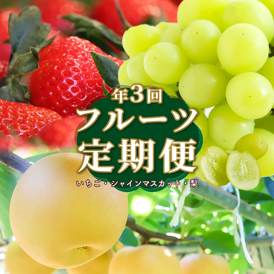 【ふるさと納税】＜フルーツ 定期便（全３回）＞ いちご シャインマスカット ぶどう 梨 fruit 苺 おすすめ 旬 果物 くだもの 高知県 佐川町産【冷蔵】【常温】