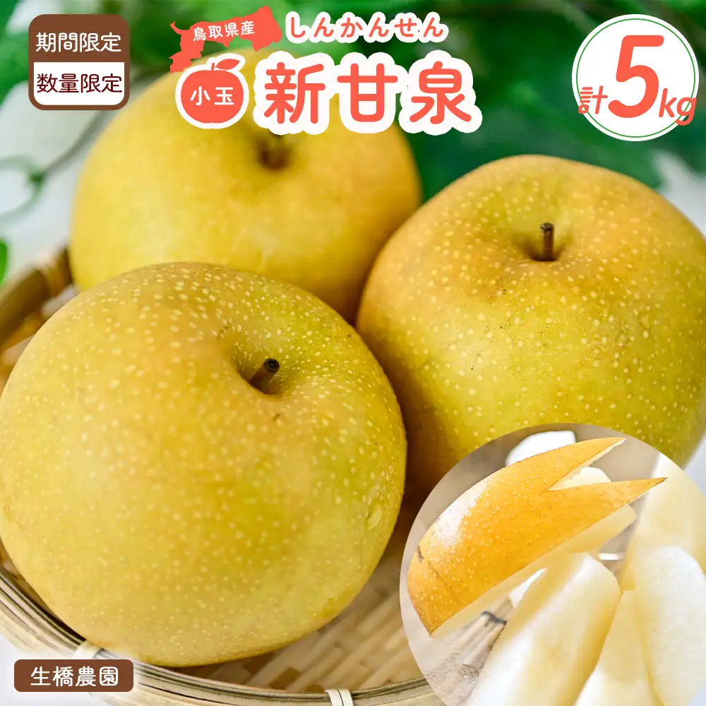 梨 新甘泉（小玉）5kg 生橋農園 青秀 梨 鳥取県産