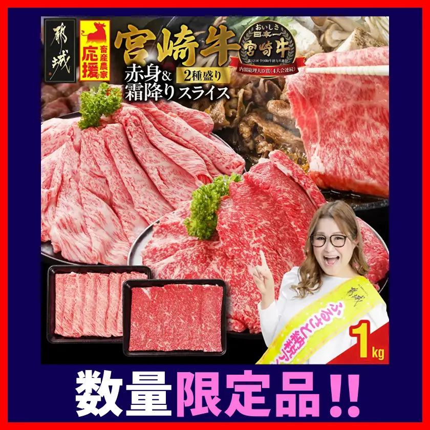 牛肉 宮崎牛 赤身&霜降り スライス 牛肉〔18E-N2-001-1kg-S4A6-CF〕