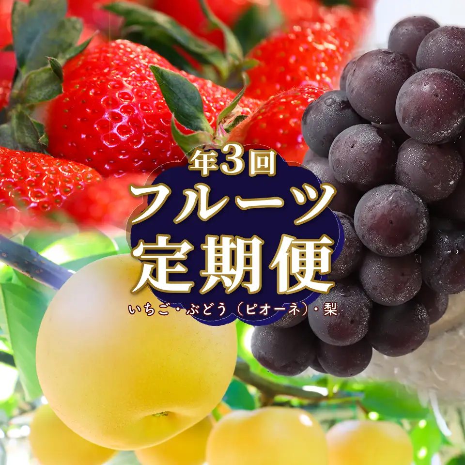 【ふるさと納税】＜フルーツ 定期便（全３回）＞ いちご ピオーネ ぶどう 梨 fruit 苺 おすすめ 旬 果物 くだもの 高知県 佐川町産【冷蔵】【常温】