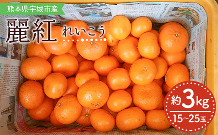 令和8年熊本地震復興支援 【先行予約】 みかん 麗紅 れいこう 約3kg（15～25玉）　【2027年2月中旬-2027年4月中旬発送】