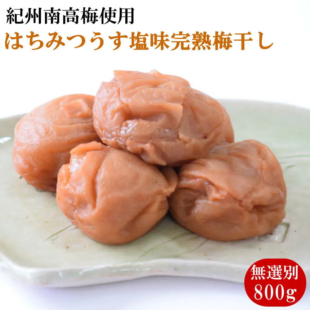 紀州南高梅使用 はちみつ うす塩味 完熟梅干し 無選別 約800g / 和歌山 梅干し 紀州南高梅 南高梅 梅干 梅 うめ 肉厚 お米 おにぎり 焼酎 梅酒 健康詰【tec984】