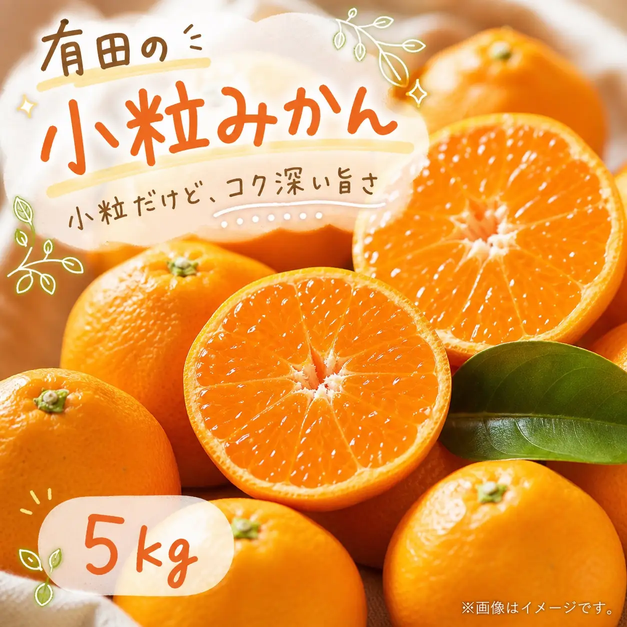 有田の小粒みかん5kg　(S～3Sサイズ混合) ※2026年11月下旬～2027年1月下旬頃に順次発送予定 / みかん ミカン 蜜柑 温州みかん 柑橘 フルーツ 果物 くだもの 和歌山【uot845】 