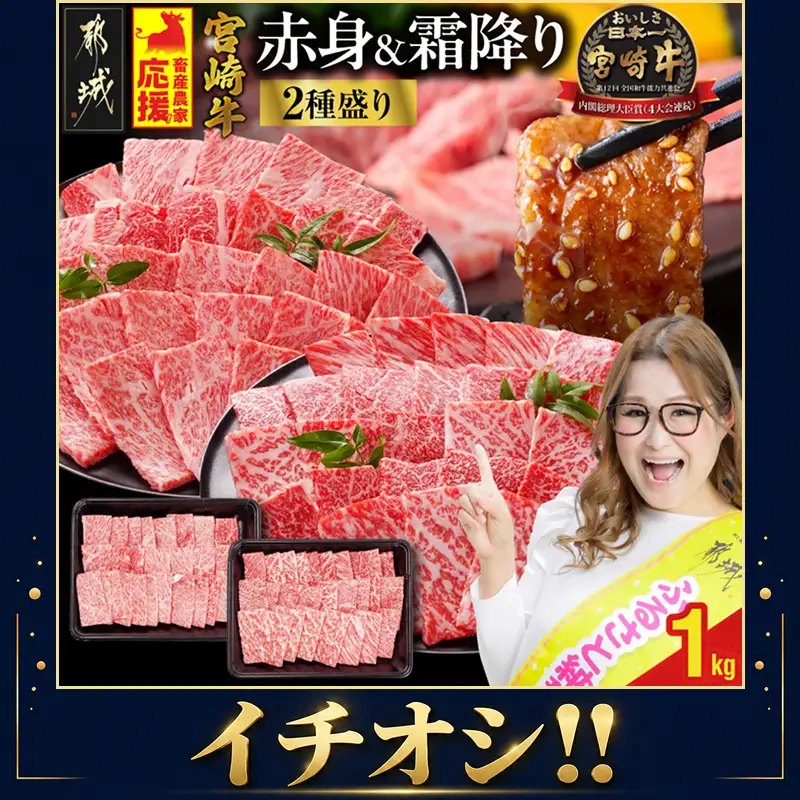 牛肉  宮崎牛 赤身＆霜降り 1kg 牛肉〔18E-N2-002-1kg-S4A6-CF〕
