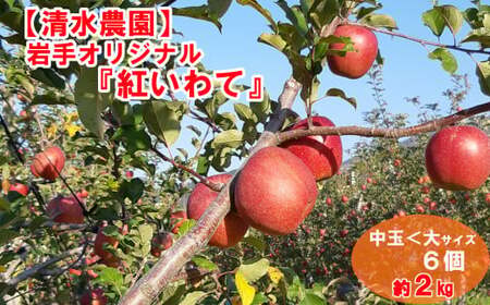 【先行予約】 新鮮りんご 紅いわて 約2kg りんご