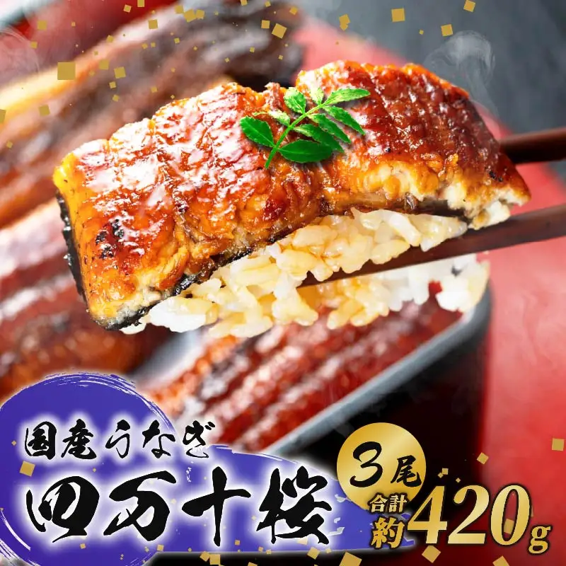 【通常用】国産うなぎ四万十桜 蒲焼き約140g×3尾 完全無投薬 蒲焼き