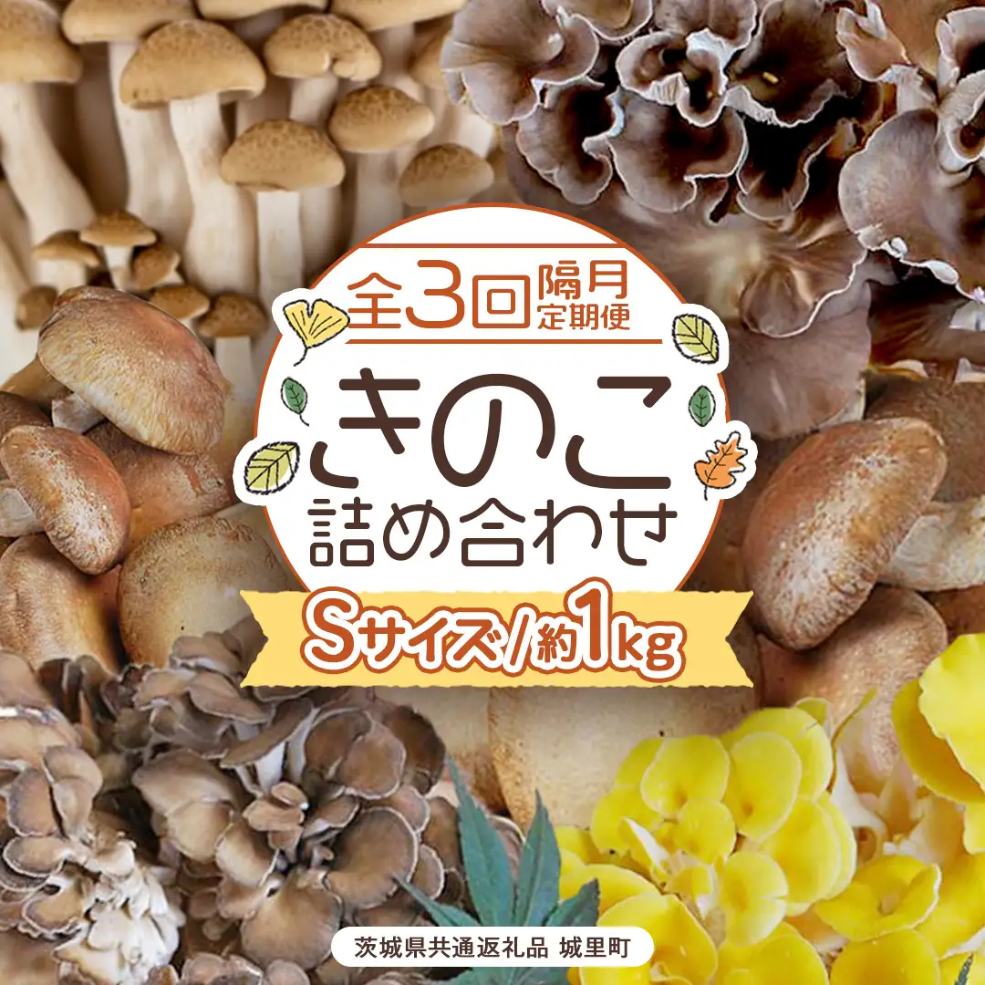《 全３回 隔月定期便 》  きのこ の 詰め合わせ Sサイズ 約1kg （茨城県共通返礼品 城里町） 定期便 キノコ 舞茸 あわび茸 たもぎ茸 しいたけ ぶなしめじ セット 鍋 炒め物 [CX008sa]