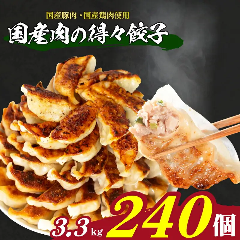 訳あり 餃子240個 冷凍 大容量餃子 ぎょうざ IB