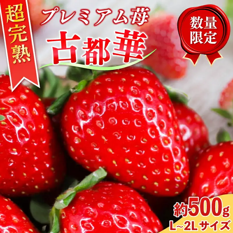 いちご 古都華いちご（250g×２P）【2027年1月～発送】 10-205