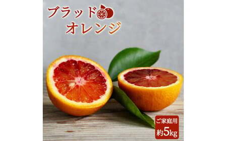 希少な柑橘!紀州有田産ブラッドオレンジ約5kg 【ご家庭用】※2027年3月中旬頃?3月下旬頃に順次発送 (お届け日指定不可) 【uot853】