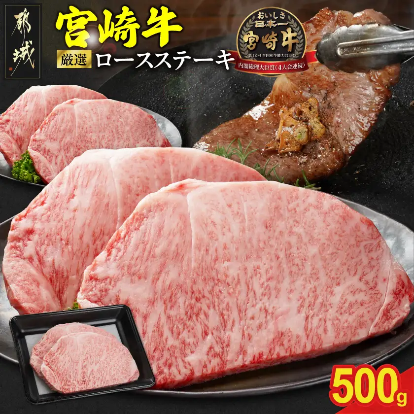 宮崎牛ロースステーキ2枚 計500g〔17-N2-011-500g〕_(都城市) ロースステーキ 500g 宮崎牛 牛肉 宮崎県産 国産 ロース肉 ステーキ肉 高級 とろける ミヤチク