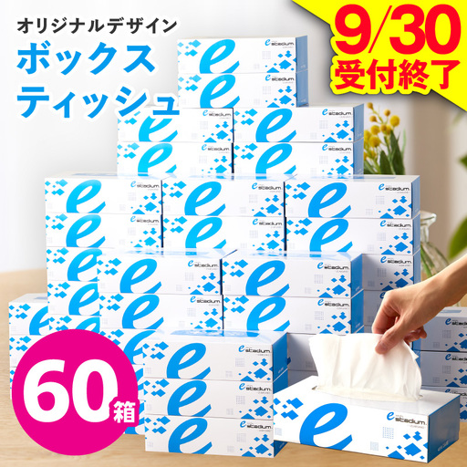 【9/30受付終了】ボックスティッシュ 60箱 ティッシュペーパー