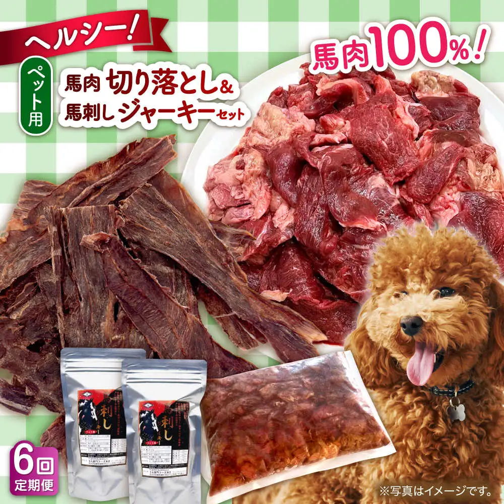 【全6回定期便】詰め合わせ 国内加工 ペット用 馬肉 切り落とし 1kg ペット用 馬刺しジャーキー 100g(50g×2) ペットフード 馬肉 [AYCT014]