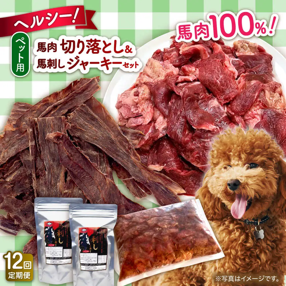 【全12回定期便】詰め合わせ 国内加工 ペット用 馬肉 切り落とし 1kg ペット用 馬刺しジャーキー 100g(50g×2) ペットフード 馬肉 [AYCT015]