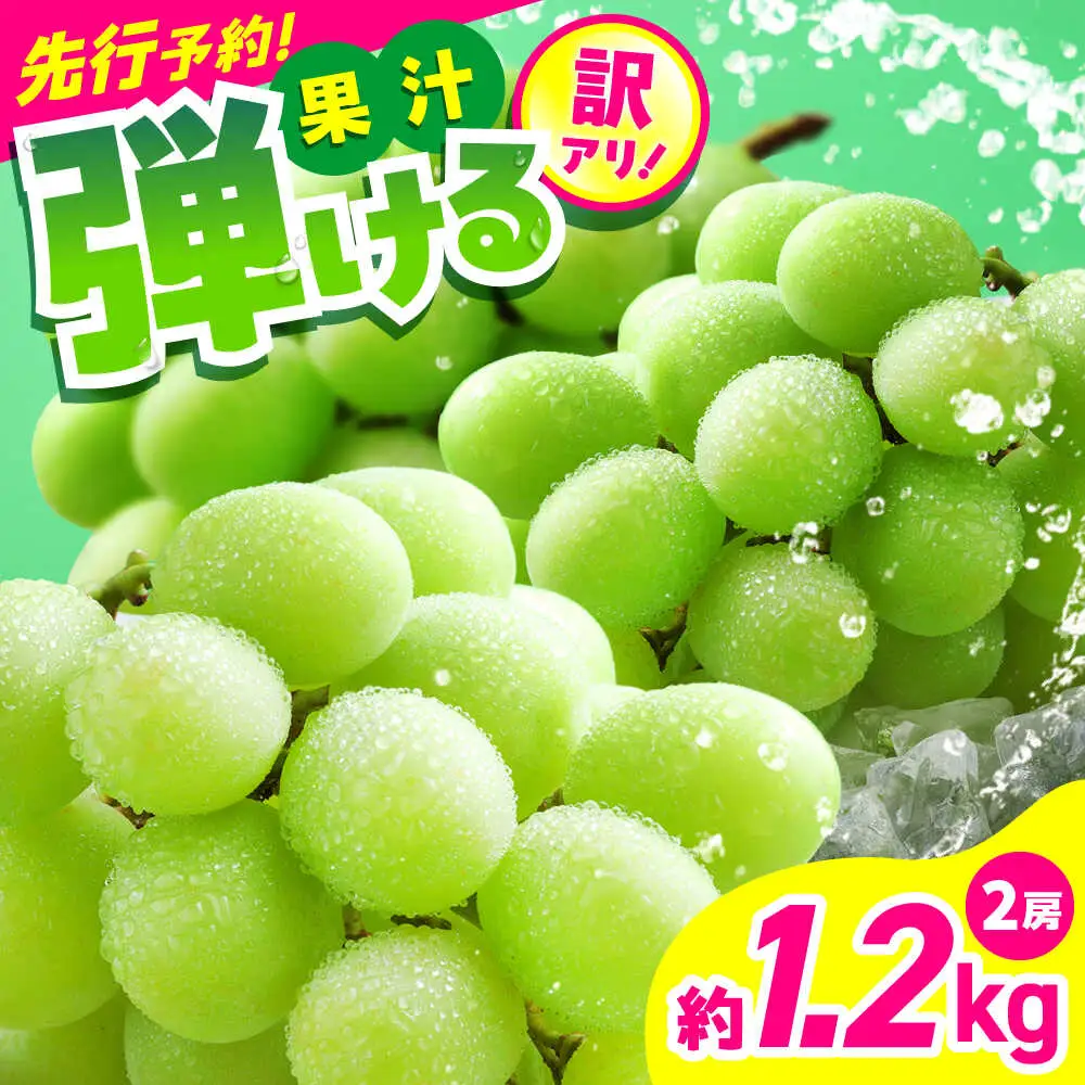 7月より発送先行予約数量限定 訳ありシャインマスカット約1.2kg2房 シャインマスカット規格外 AYCX003