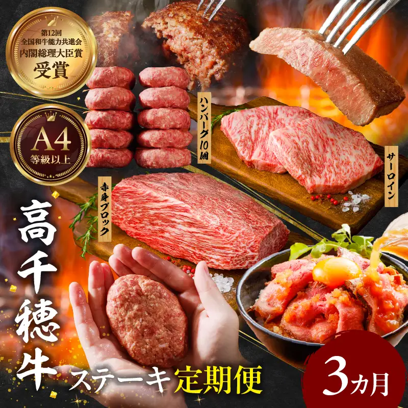 【3か月定期便】 高千穂牛ステーキ定期便 牛肉 肉 お肉 サーロイン ステーキ 赤身 赤身ブロック 定期便 定期 国産牛 ブランド牛 和牛 ローストビーフ  ハンバーグ 国産 贈答 贈り物 簡単調理 おかず 普段使い 宮崎県 高千穂 _Tk002-t083