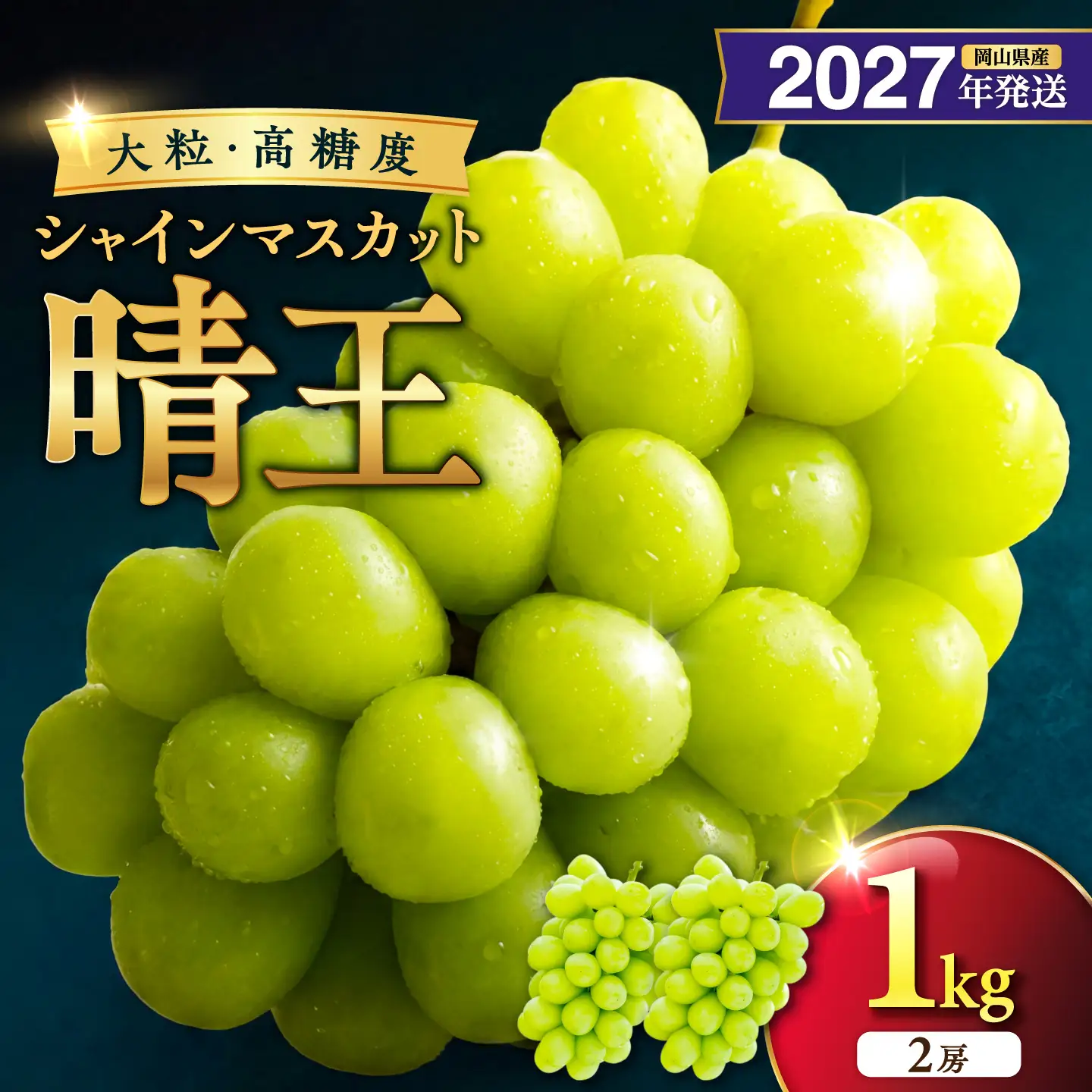 2027年発送 岡山県産シャインマスカット 晴王 秀品 約1kg 2房【シャインマスカット】