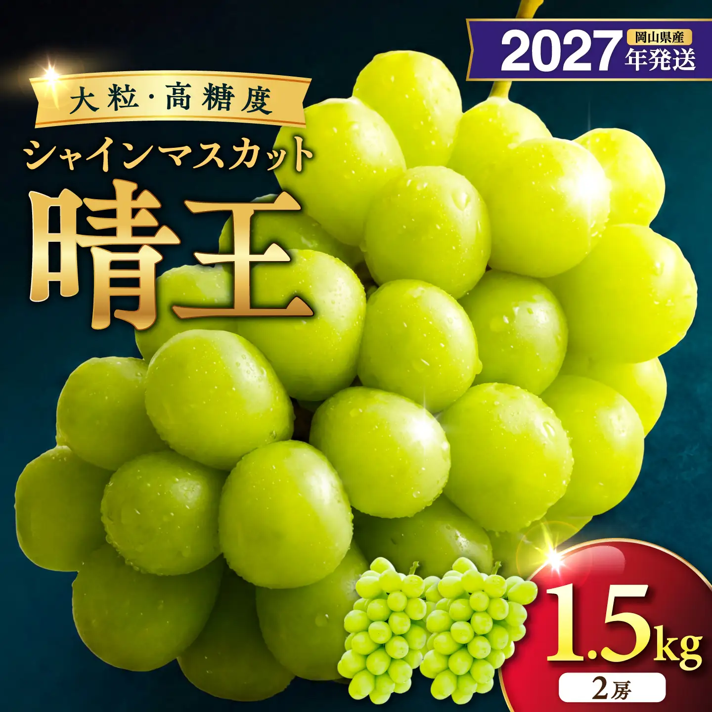 2027年発送 岡山県産シャインマスカット 晴王 秀品 約1.5kg 2房【シャインマスカット】
