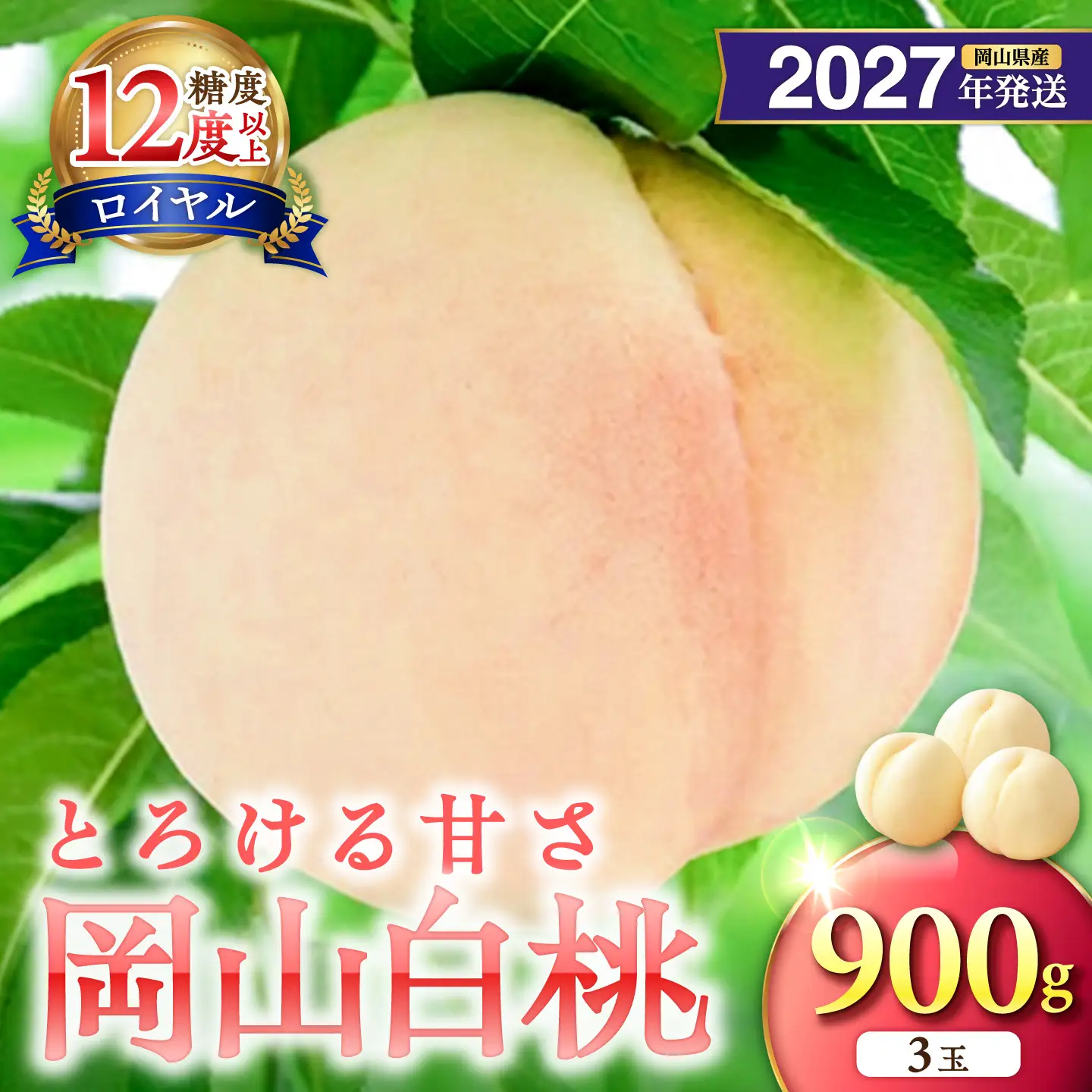 【2027年発送分・先行予約開始！】岡山県産 白桃 特秀 「ロイヤル」中玉 約900g 3玉（令和9年7月～8月上旬頃発送）【桃】