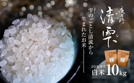 ＜令和7年産＞ 京都夜久野産 清雫(せいな) コシヒカリ 白米 (10kg) ふるさと納税 福知山市 令和7年度産 先行 定期便 選べる 容量 回数 白米 精米 夜久野 京都 【fc-DB006-C】【合同会社夜久野清雫】