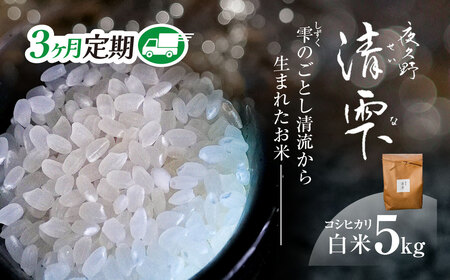 ＜3ヶ月定期便＞＜令和7年産＞ 京都夜久野産 清雫(せいな) コシヒカリ 白米 (5kg×3回) ふるさと納税 福知山市 令和7年度産 先行 定期便 選べる 容量 回数 白米 精米 夜久野 京都 【fc-DB006-B03】【合同会社夜久野清雫】