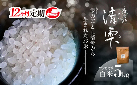 ＜12ヶ月定期便＞＜令和7年産＞ 京都夜久野産 清雫(せいな) コシヒカリ 白米 (5kg×12回) ふるさと納税 福知山市 令和7年度産 先行 定期便 選べる 容量 回数 白米 精米 夜久野 京都 【fc-DB006-B12】【合同会社夜久野清雫】
