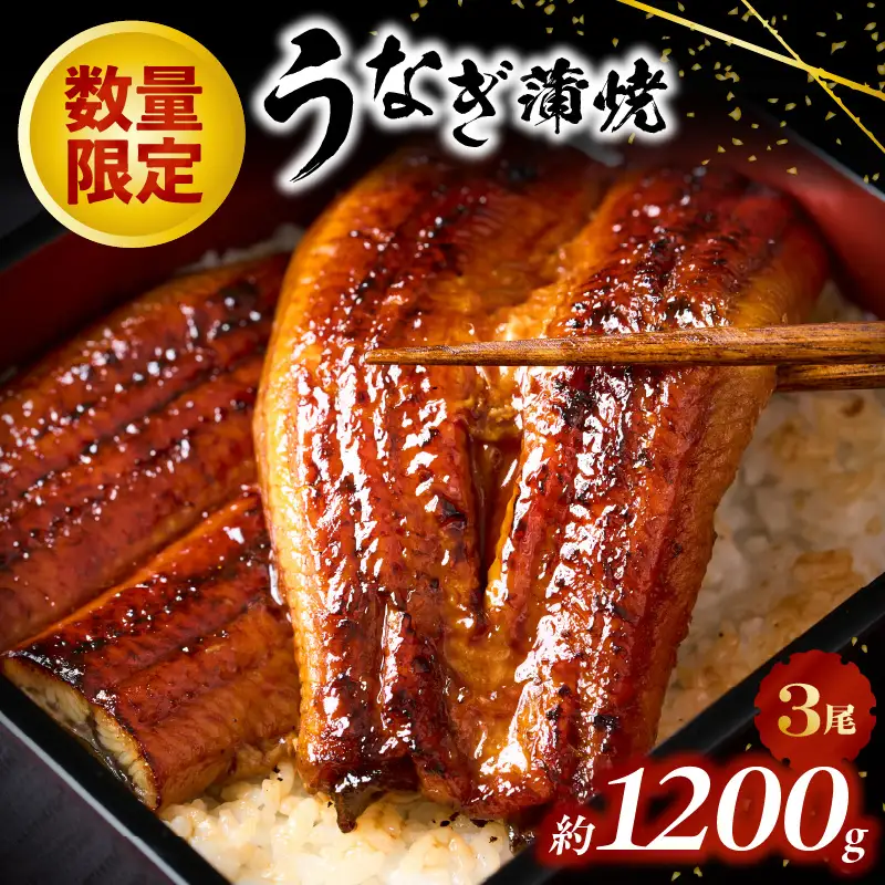 AB431.うなぎの蒲焼３尾（計１，２００ｇ前後）『１～２ヶ月前後でお届け！！』