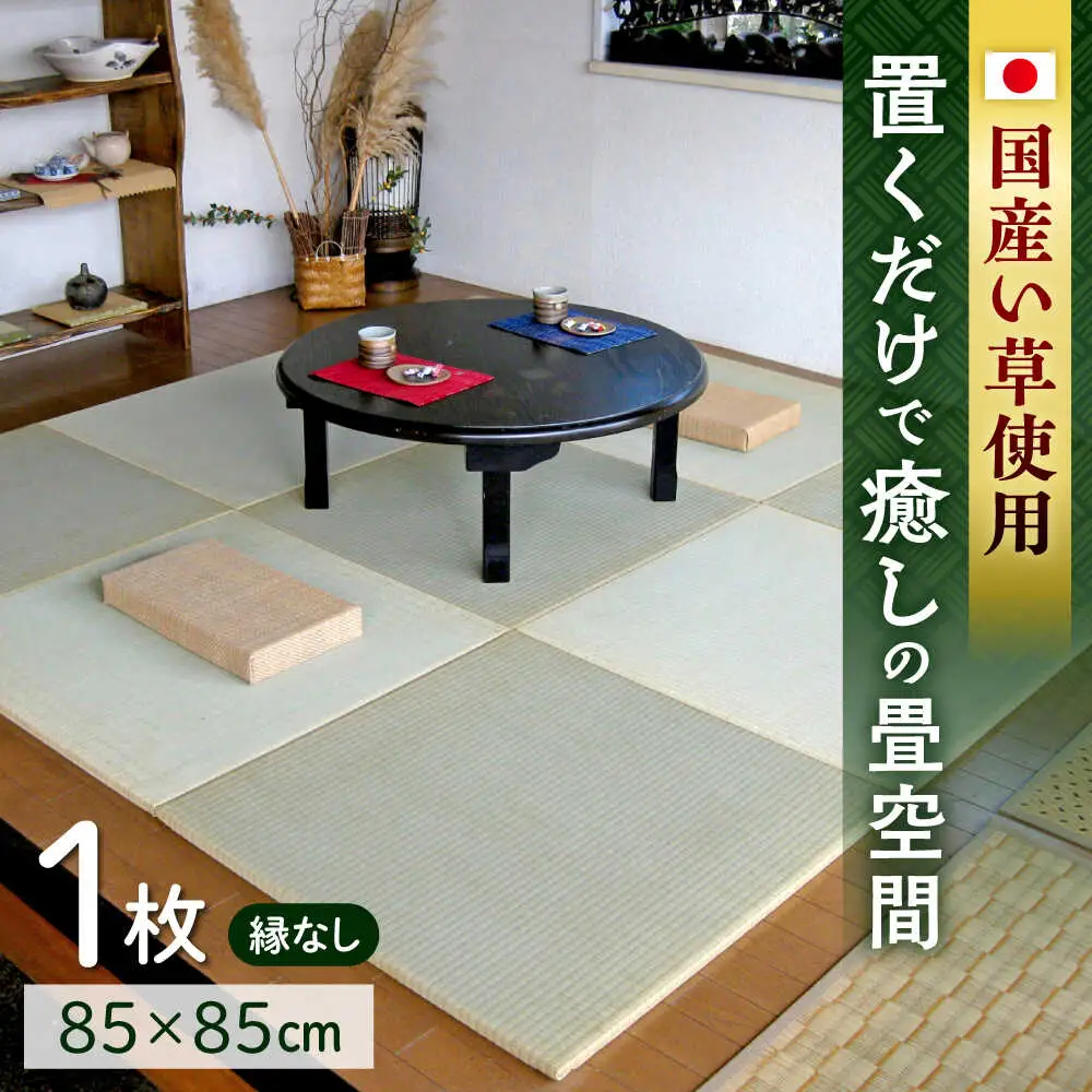 一畳屋 たたみっこ 縁無し 畳 1枚  畳[AYAB110]