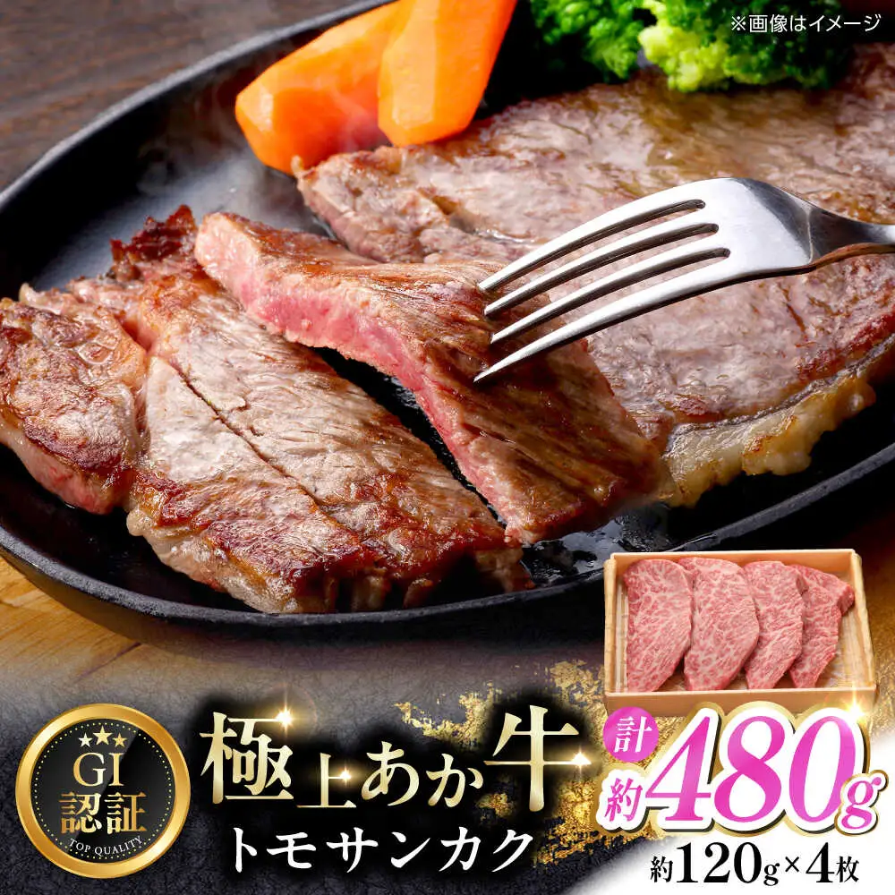 【GI認証】くまもとあか牛トモサンカク 約120g×4枚 和牛 熊本県 トモサンカク [AYCQ013]