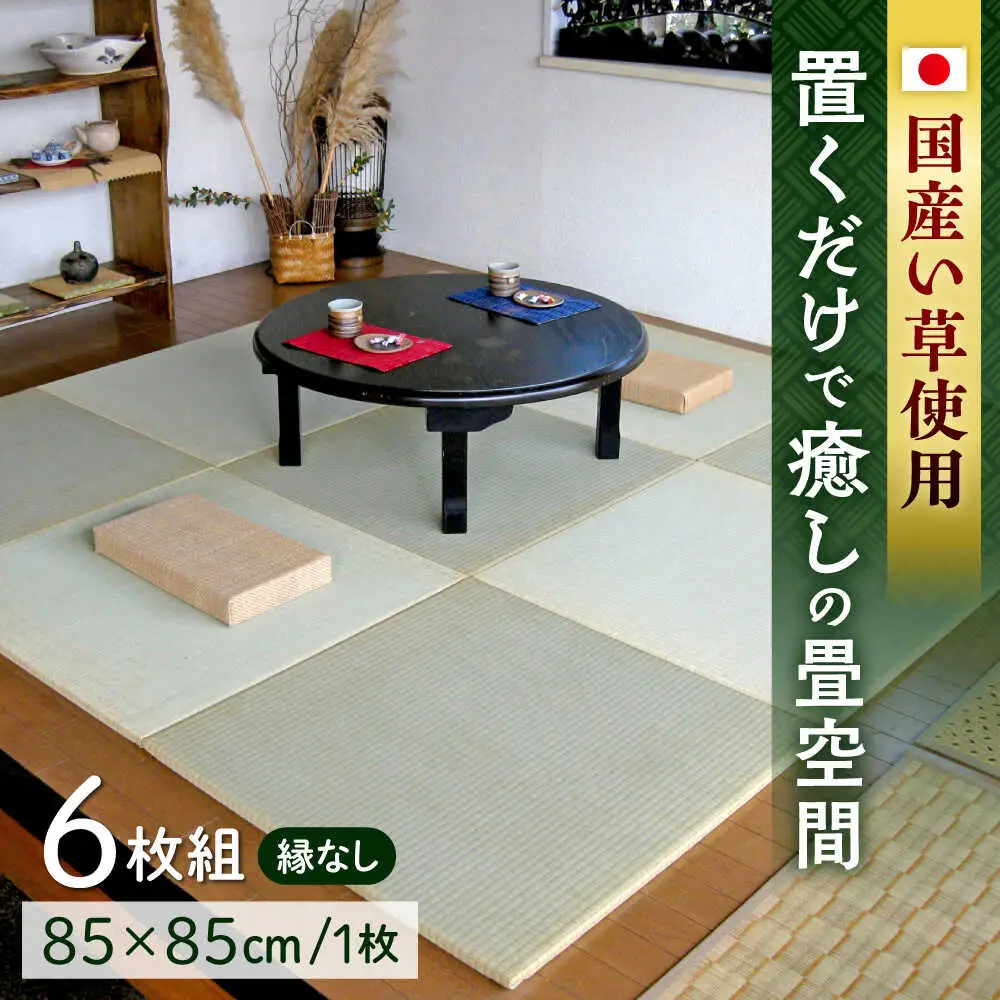 一畳屋 たたみっこ 縁無し 畳 6枚セット  畳[AYAB109]