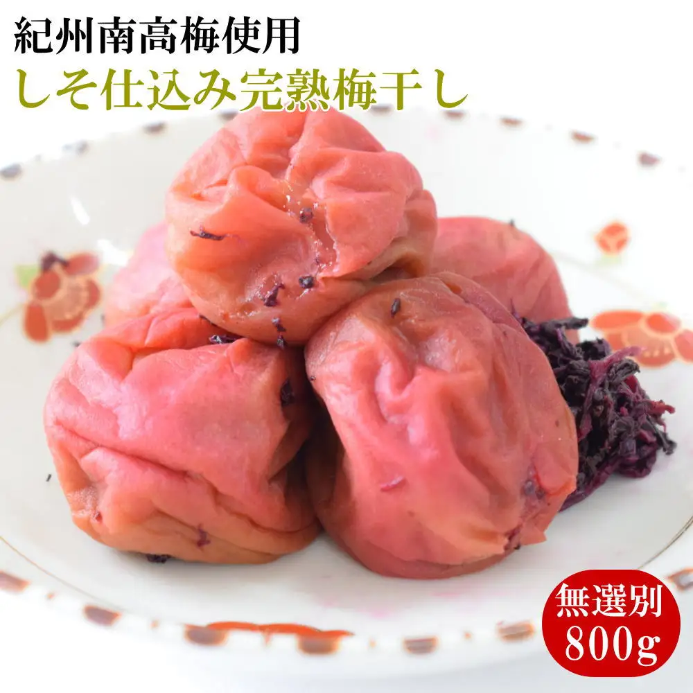 紀州南高梅使用 しそ仕込み完熟梅干し 無選別 約800g / 和歌山 梅干し 紀州南高梅 南高梅 梅干 梅 うめ 肉厚 お米 おにぎり 焼酎 梅酒 健康詰【tec985】