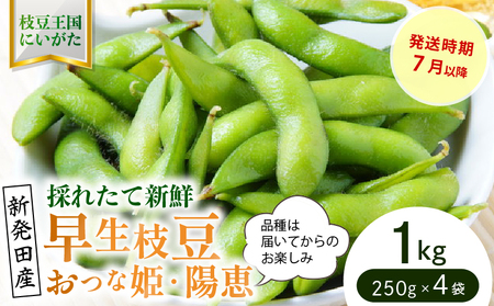早生枝豆 1kg【 数量限定 早生 枝豆 おつな姫 陽惠 新潟県 先行予約 1kg seida018 】