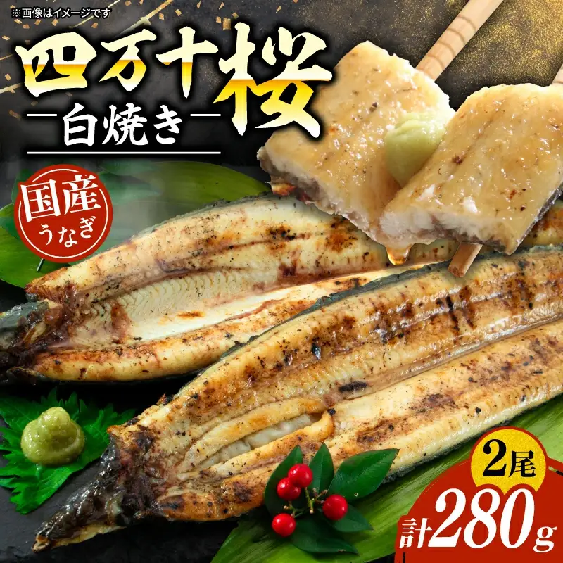 【通常用】極上国産うなぎ四万十桜 白焼き 約140g×2尾 完全無投薬白焼き