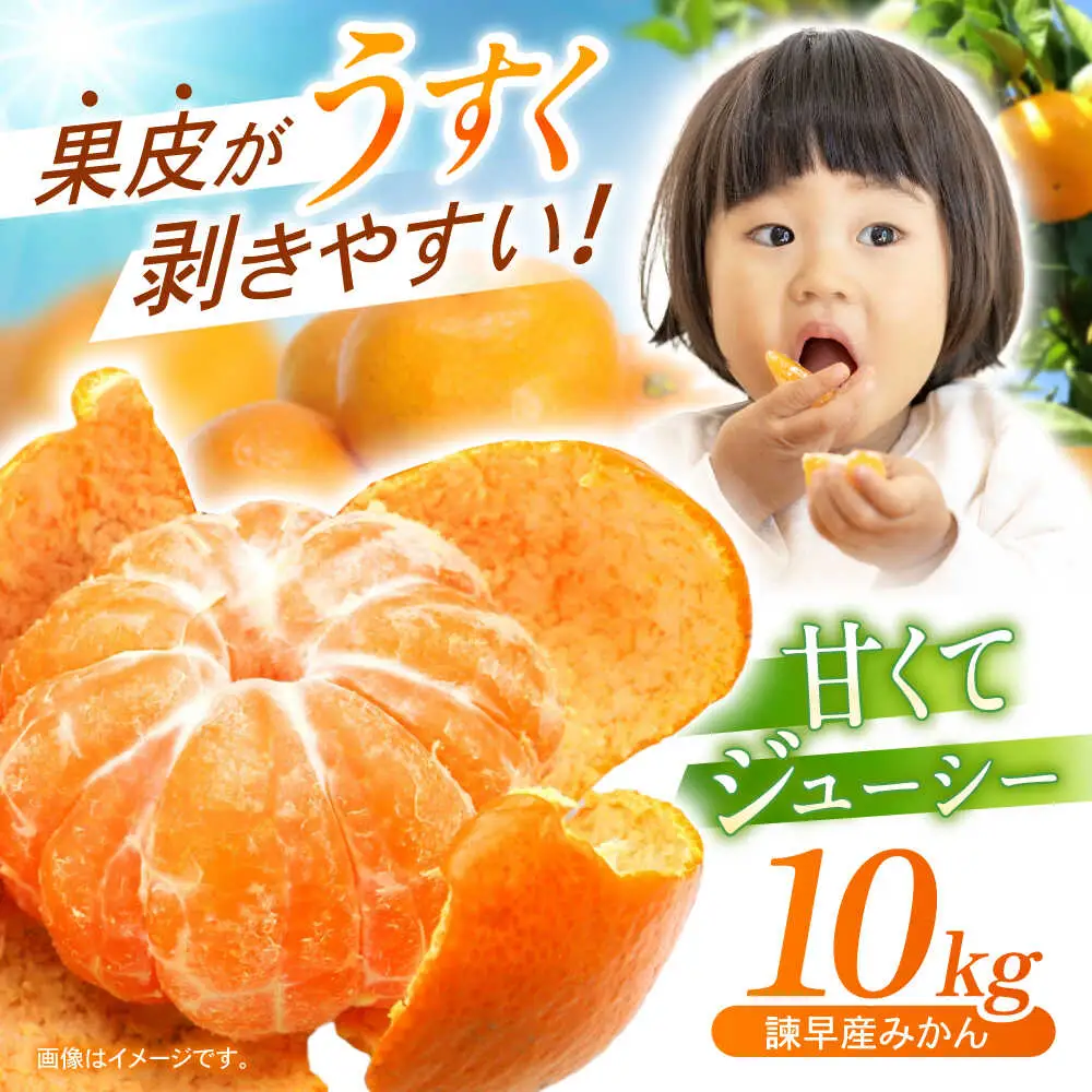 諫早産みかん 10kg / みかん ミカン 蜜柑 フルーツ ふるーつ 果物 くだもの 10kg / 諫早市 / 松尾農園 [AHAY028]