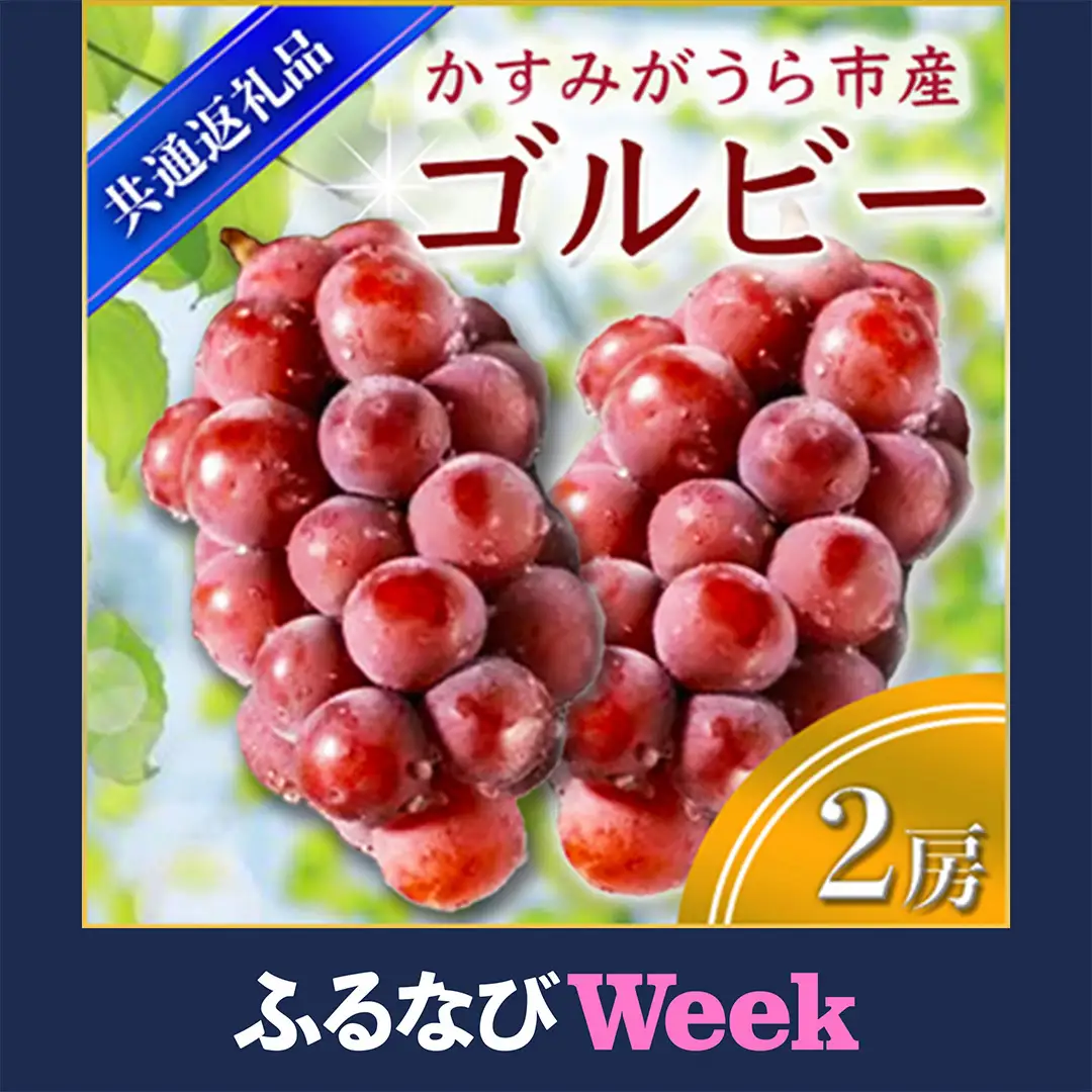 【ふるなびWEEK対象】ゴルビー 2房 ＜2026年9月上旬より順次発送予定＞ (県内共通返礼品:かすみがうら市産)  (BR053)