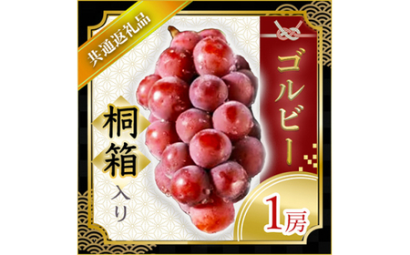 ゴルビー 桐箱入り 1房 ＜2026年9月より順次発送予定＞ (県内共通返礼品:かすみがうら市産)  フルーツ 果物 くだもの ぶどう ブドウ 葡萄 新鮮 季節限定 旬 旬の果物 季節の果物 茨城 (BR067)