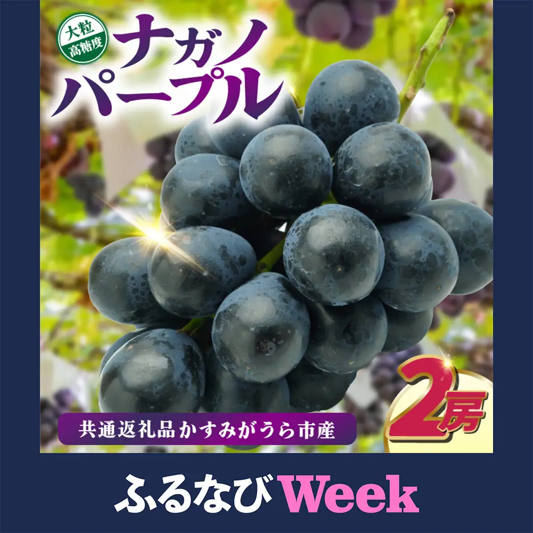 【ふるなびWEEK対象】ナガノパープル2房　県内共通返礼品:かすみがうら市産 (BR155)