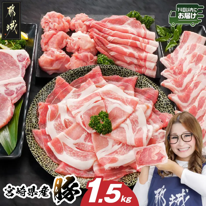 宮崎県産豚わくわく1.5kgセット(真空)≪みやこんじょ快速便≫〔11-84-002-1500g-R〕_(都城市) 豚肉 豚肉セット 宮崎県産豚 しゃぶしゃぶ バラ 焼肉 切り落とし 肩ローススライス ロース とんかつ ミンチ 使い勝手抜群 小分け 真空