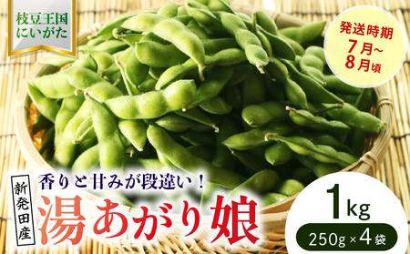 根強い人気の枝豆！ 湯あがり娘 1kg【 先行予約 予約 茶豆 枝豆 新潟産 湯あがり娘 1kg 数量限定 株式会社せいだ 新潟県 新発田市 seida020 】
