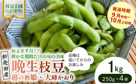 貴重な枝豆！ 晩生（おくて）枝豆 1kg 【 数量限定 1.0kg 枝豆 茶豆 新潟産 つまみ 晩生 株式会社せいだ 新潟県 新発田市 株式会社せいだ 新潟県 新発田市 seida024 】