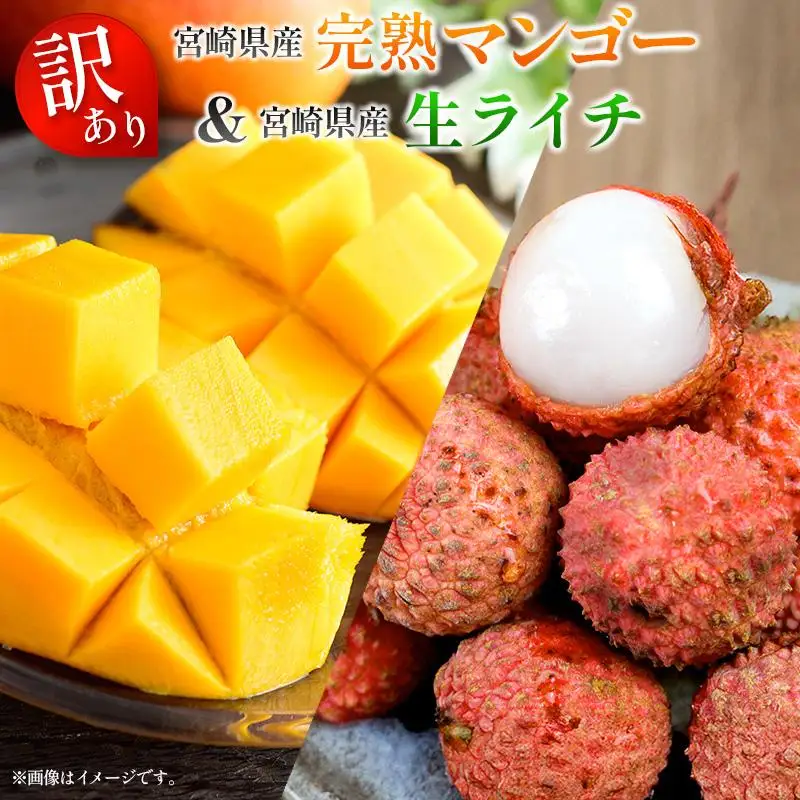 ＜2027年発送＞＜訳あり＞ 完熟 マンゴー 約1kg ＆ 生ライチ 300g 果物 フルーツ 宮崎県産 特産 セット