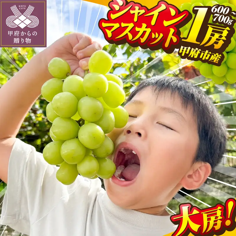 〈2026年度配送分〉甲府市産シャインマスカット大房大粒（600ｇ〜700ｇ）Ａ