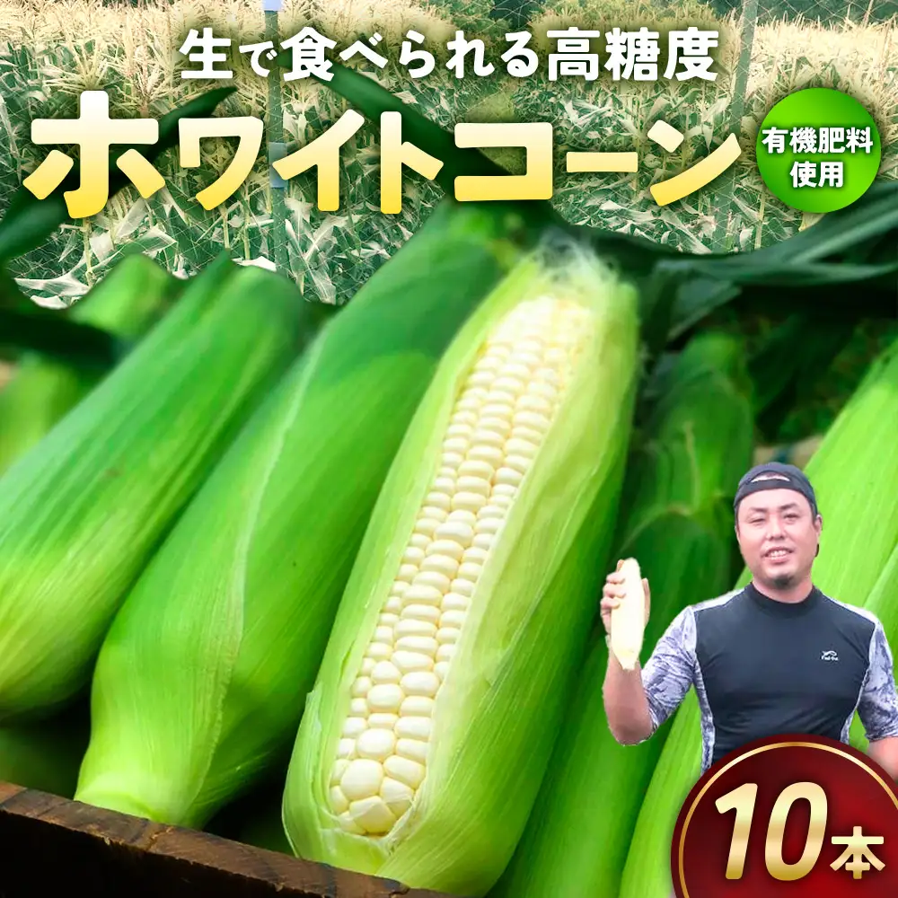 ホワイトコーン 10本（約6kg）極甘 とうもろこし コーン
