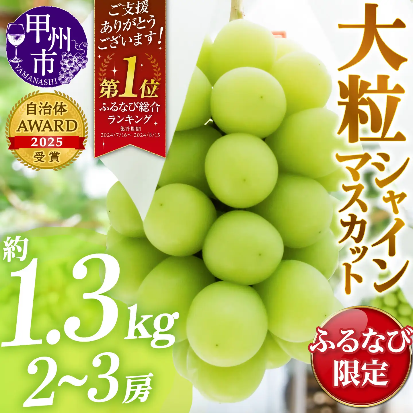 【ふるなび限定】甲州市産厳選旬の大粒シャインマスカット 約1.3kg 2～3房【2027年発送】（MG）B12-472 FN-Limited-VO シャインマスカット フルーツ