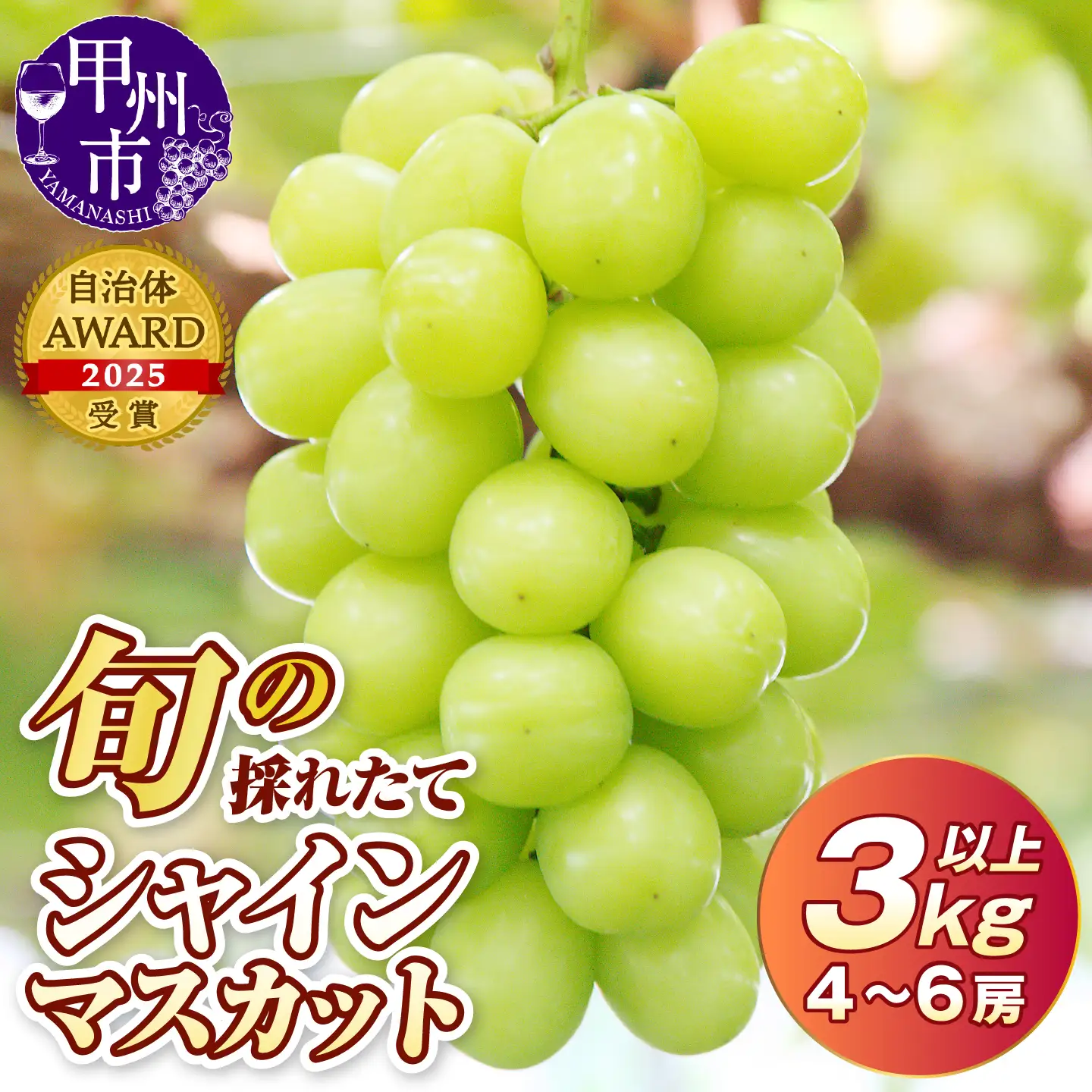旬の採れたて大粒シャインマスカット3.0kg以上（4房～6房）【2027年発送】（HO）C5-401 シャインマスカット フルーツ