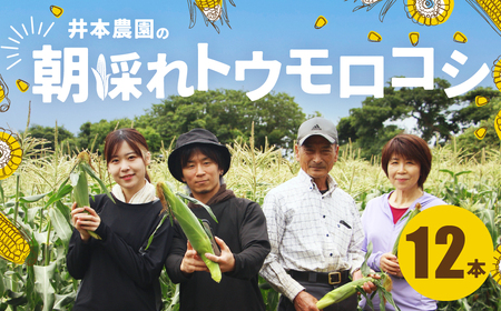 【先行予約】井本農園の朝採れとうもろこし 12本 とうもろこし