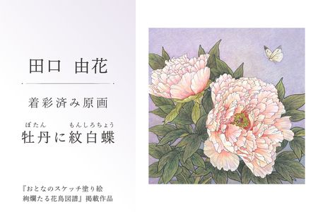【ふるなび限定】田口由花　着彩済み原画「牡丹に紋白蝶（ぼたんにもんしろちょう）」（『おとなのスケッチ塗り絵　絢爛たる花鳥図譜』掲載作品）【0109-002-4】FN-Limited-SP