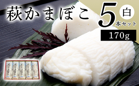 エソ100％「萩かまぼこ」170g 白5本 【化粧箱入】（国産鮮魚エソ100％）