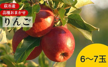 リンゴ 詰め合わせ 萩りんご 萩産 季節の品種  約6～7玉